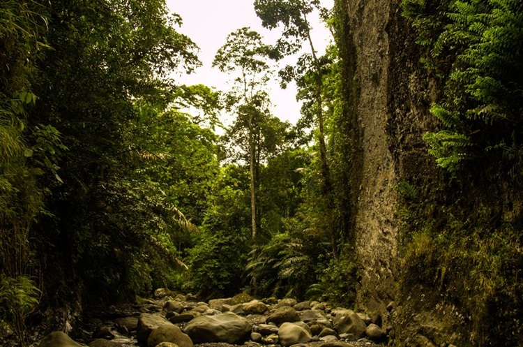 Kalaja Karst