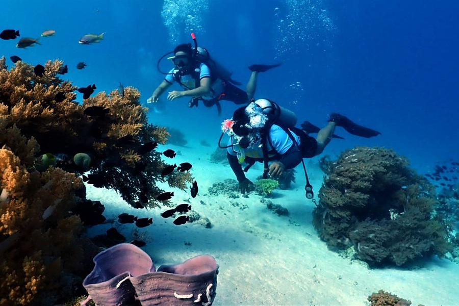 diving in sarangani bay